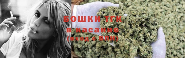 PSILOCYBIN Семёнов