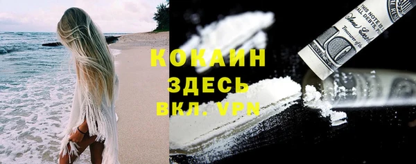 трава Снежногорск