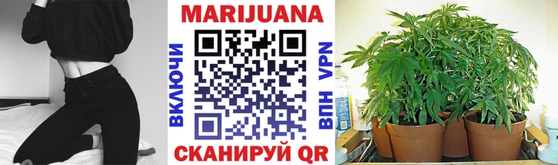 купить наркоту  MEGA вход  МАРИХУАНА ГИДРОПОН  Тайшет 